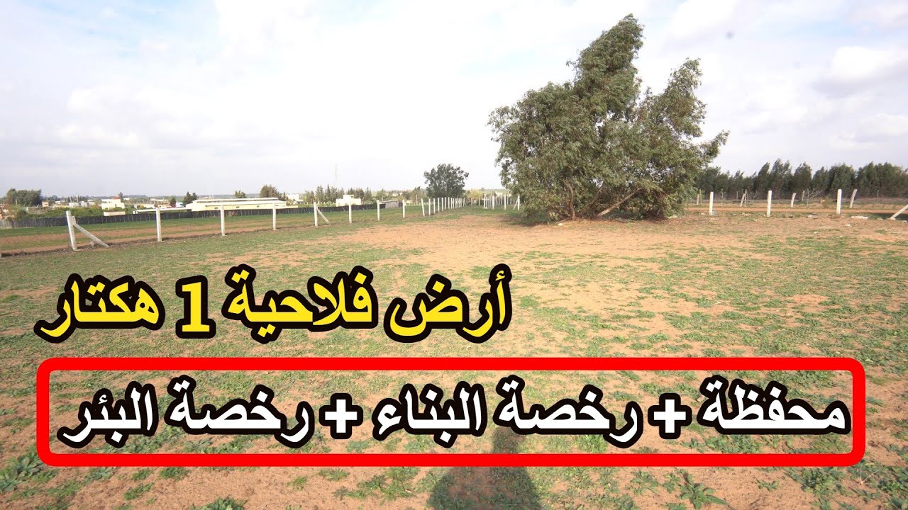 ✨همزة جديدة أرض فلاحية جميلة 1 هكتار برخصة البئر ورخصة البناء محفظة بالقرب من الجيران ✨تيفلت