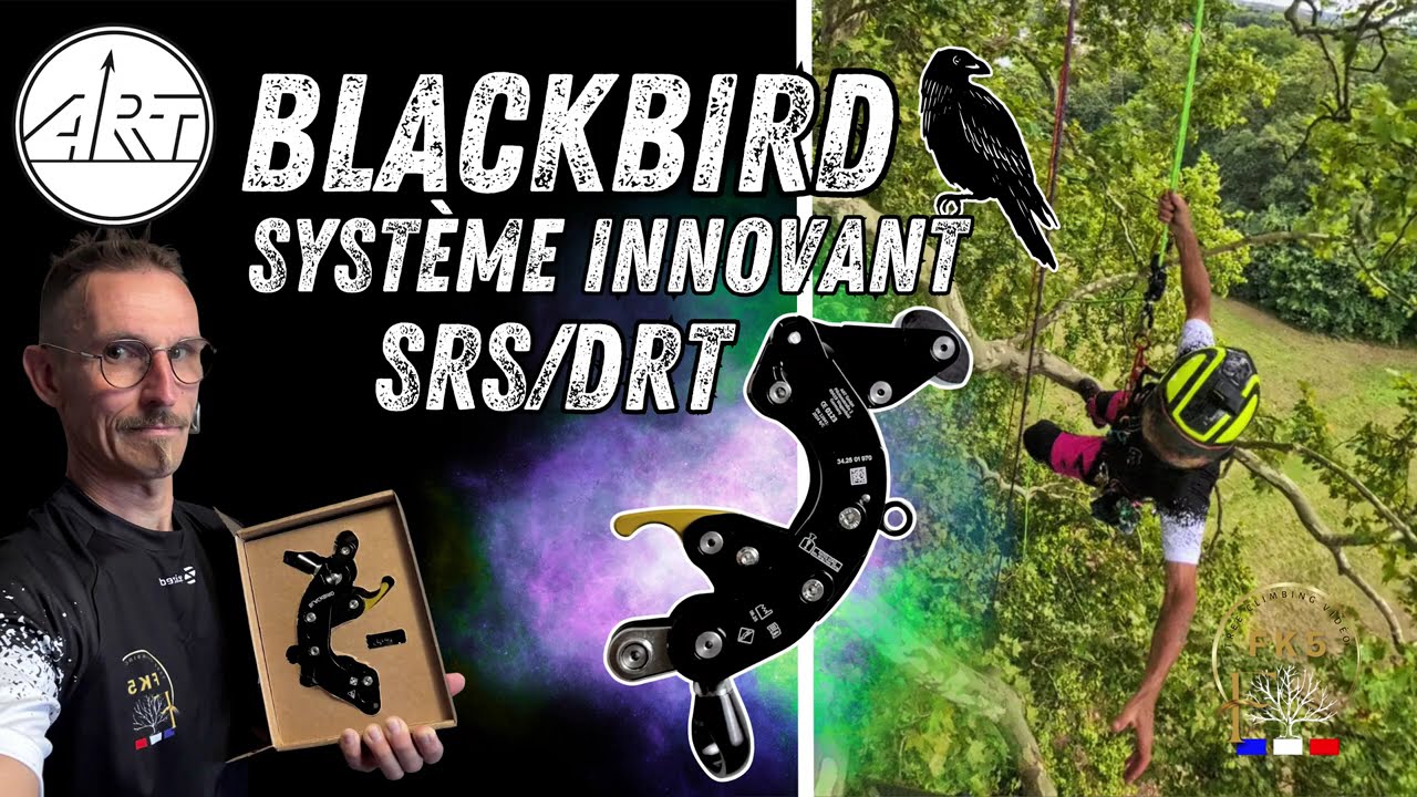 BLACKBIRD ART 2.O