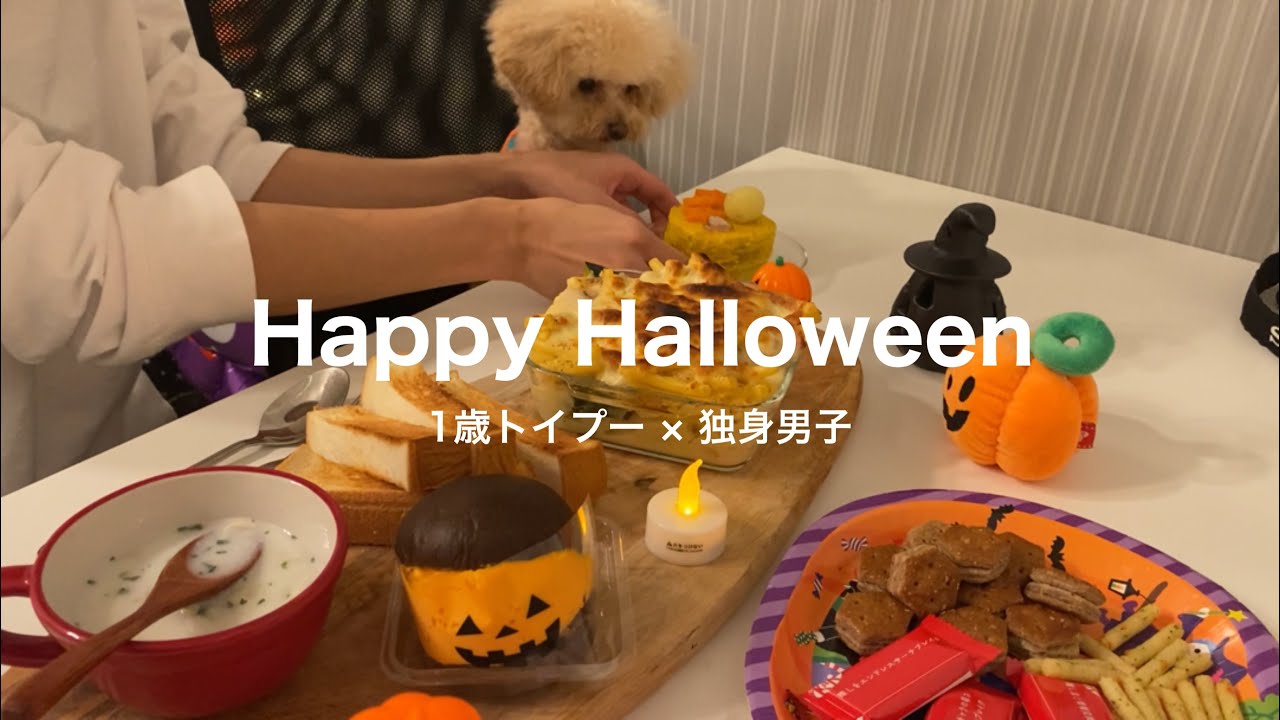 【Halloween】一人暮らし独身男とトイプードルのハロウィンパーティー