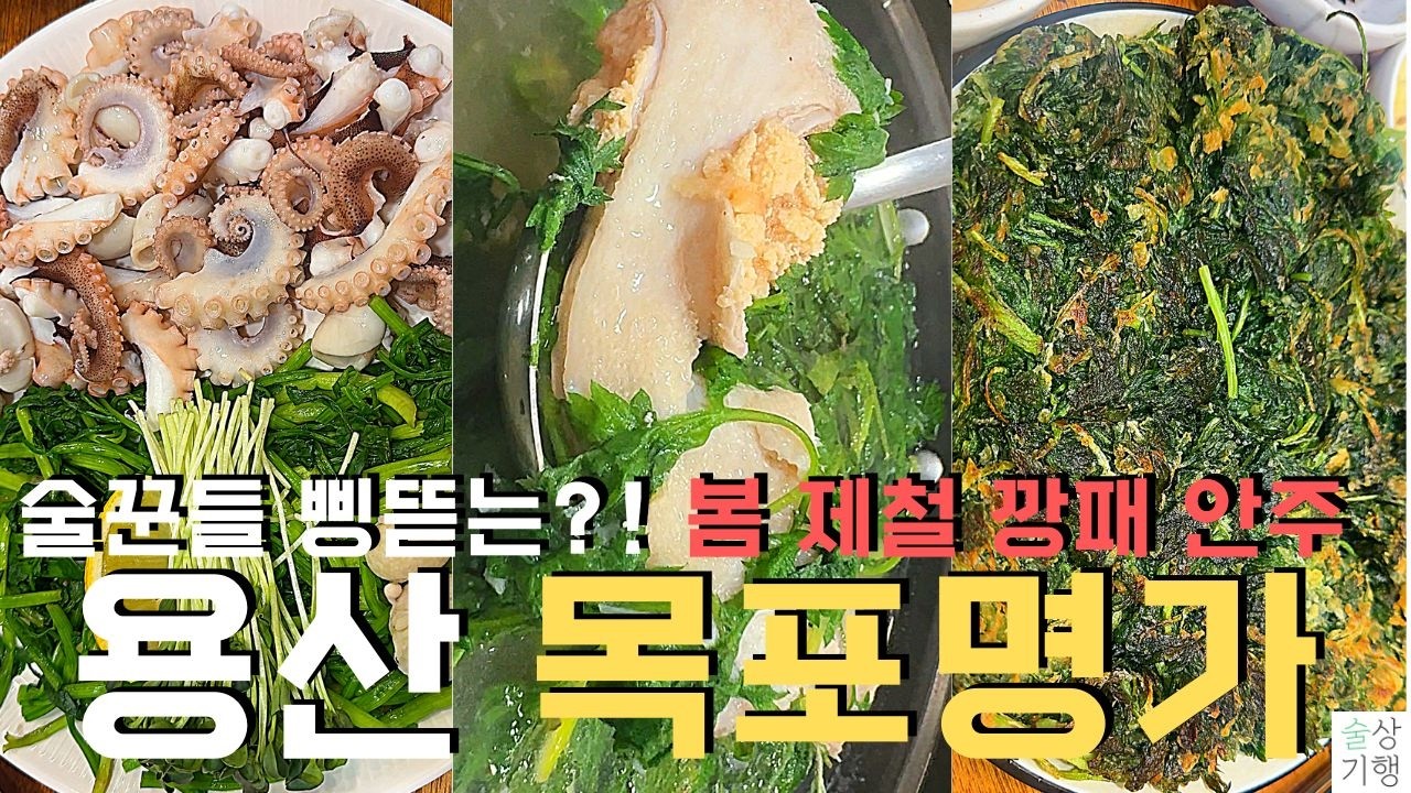 제철을 맞은 주꾸미와 도다리쑥국의 환상적인 조합, 용산맛집 에서 즐기는 소주 한 잔의 기록