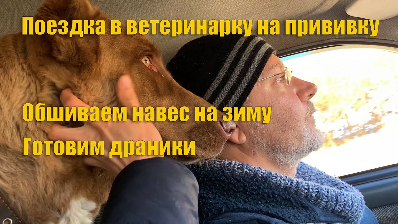 #62 Съездили в ветклинику. Обшиваем навес. Готовим картофельные драники.