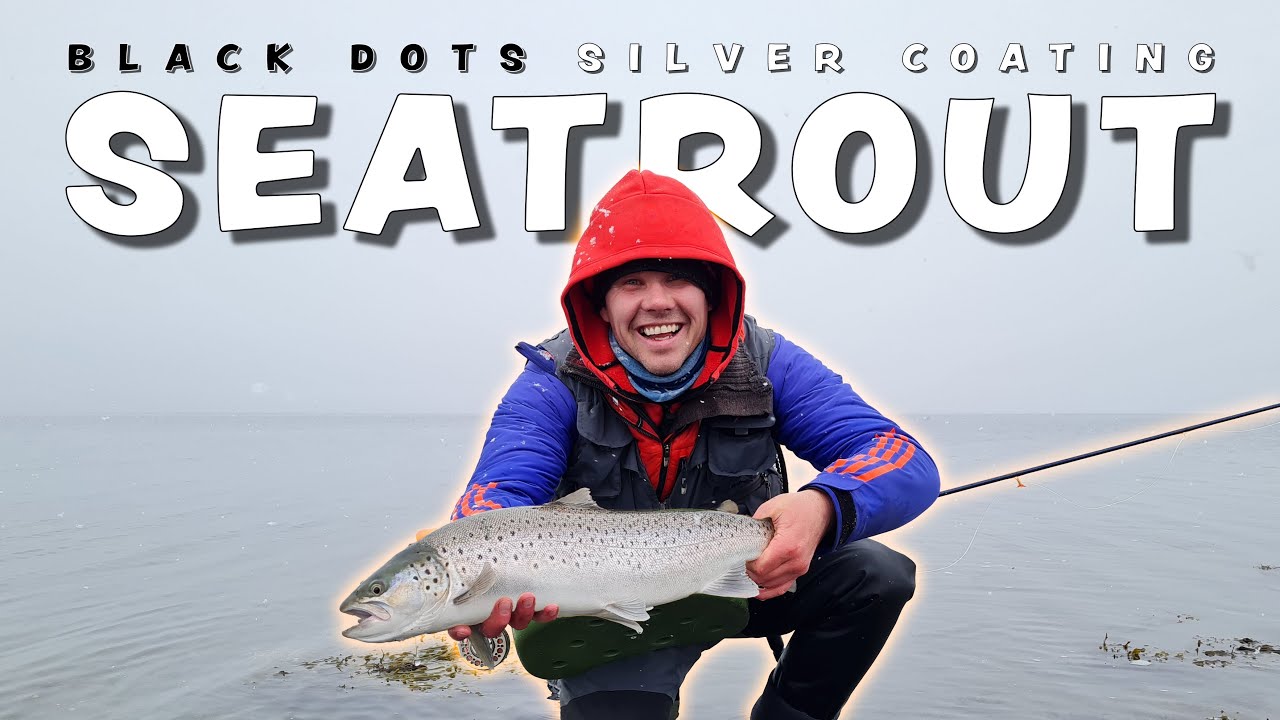 Black Dots, Silver Coating: The Quest for Norway's Legendary Sea Trout