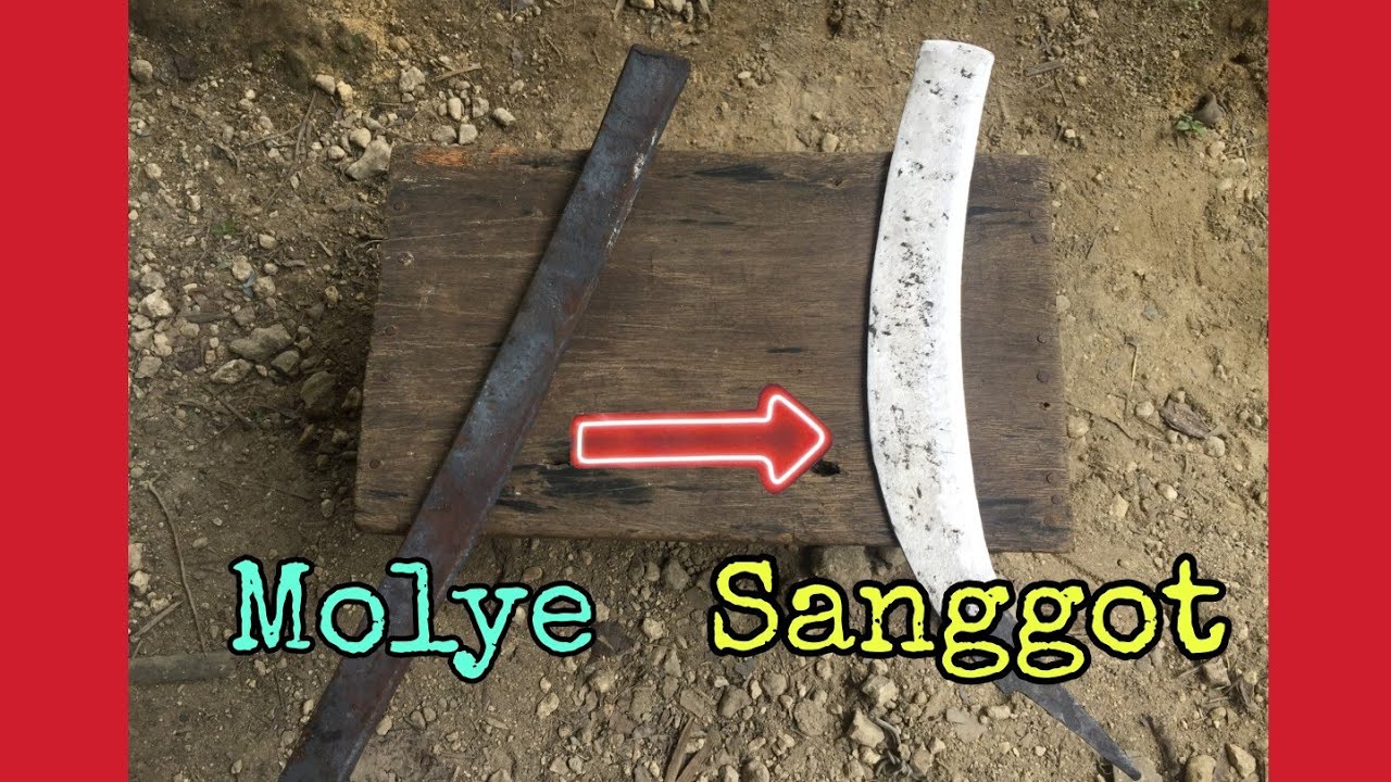 MOLYE GINAWANG SANGGOT