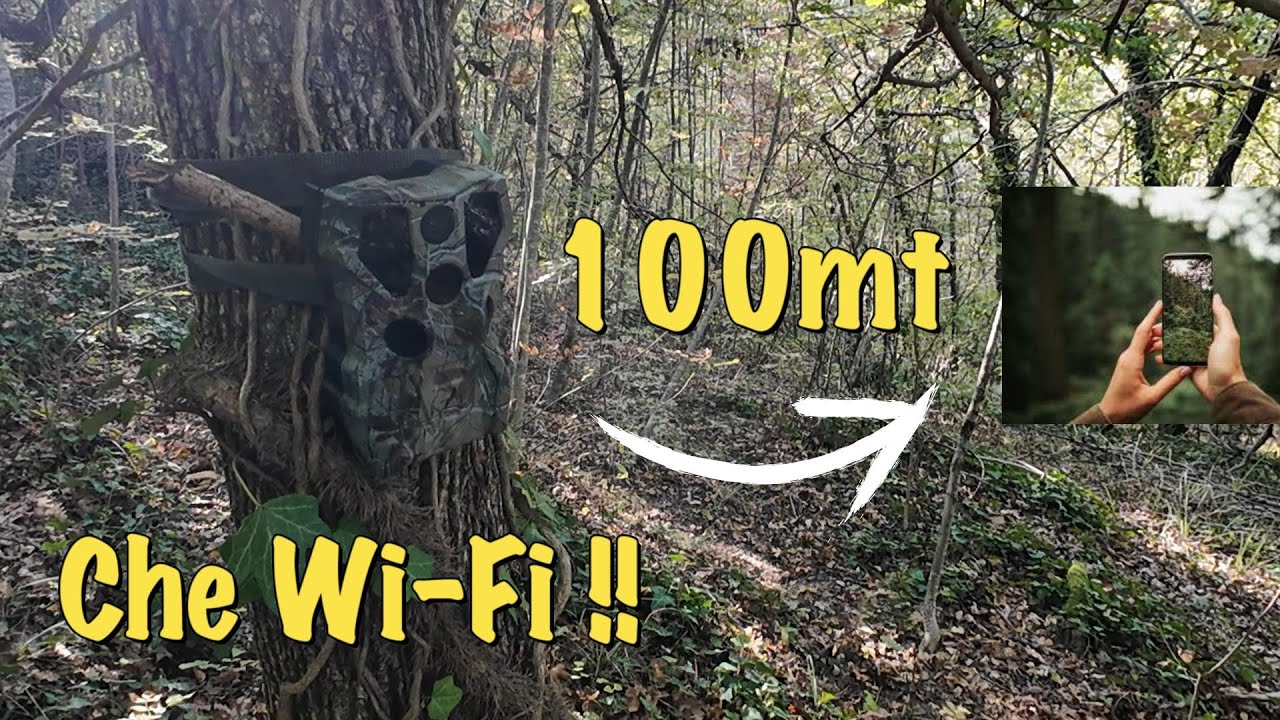 Fototrappola XTU X1. Il miglior WiFi del 2024? Eccolo!!!