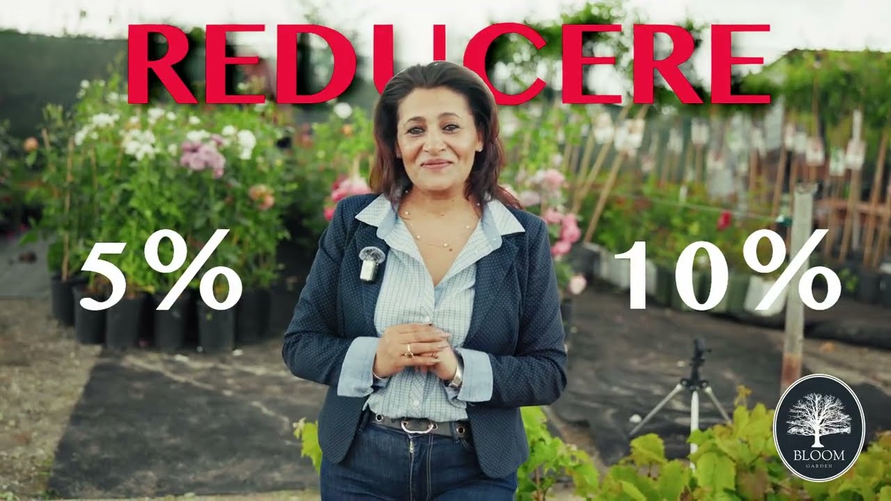 Reduceri de 5&ndash;10% direct la serele Bloom Garden, Dealul Dăii, Sibiu! 🌿