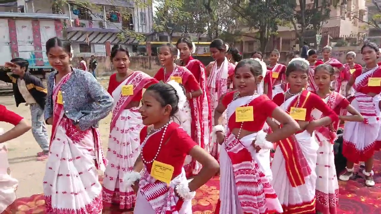 Birsa shiksha niketan 🙏🙏 #celebration #dance #school 