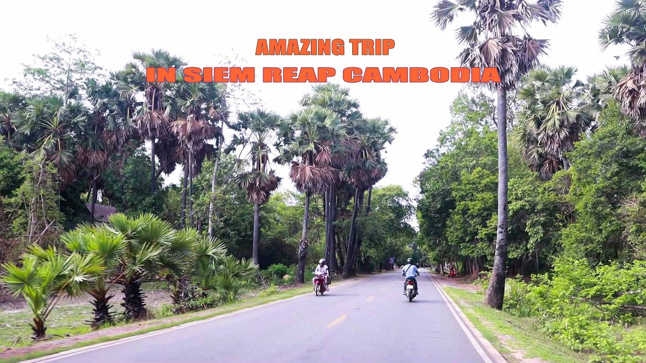Amazing trip in Siem Reap, Cambodia || Along the Road view [ Mr Lee Village Tour]