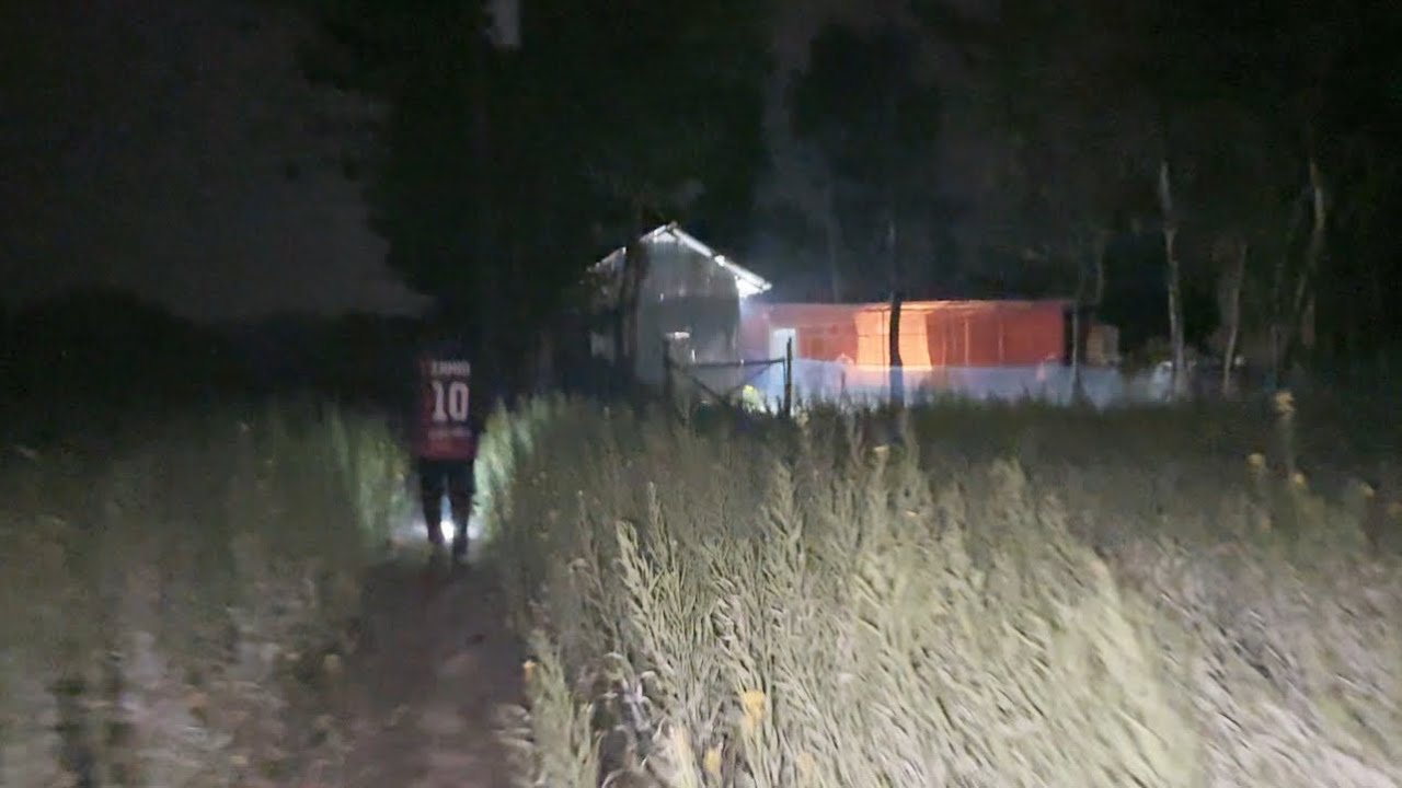 ৩দিন পর খামারে এসে যা দেখলাম।🐄🐐🦆🐣🥚