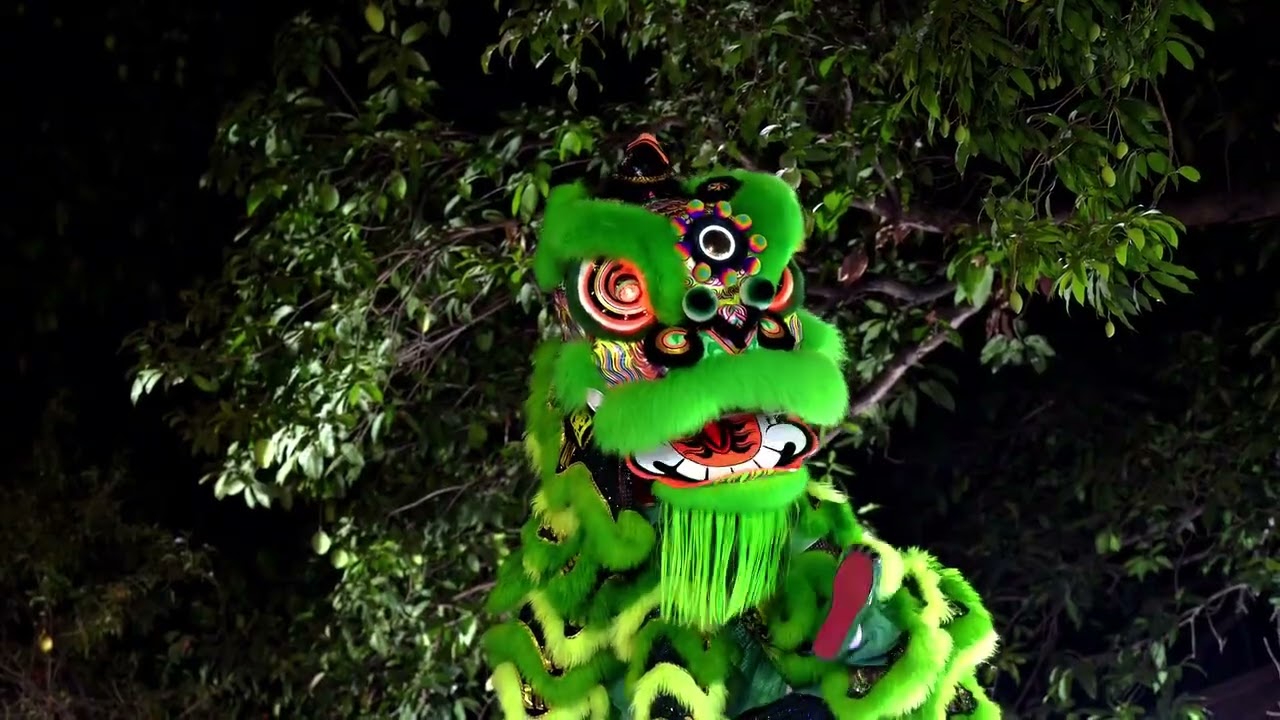 The Lion dance teams #liondance 