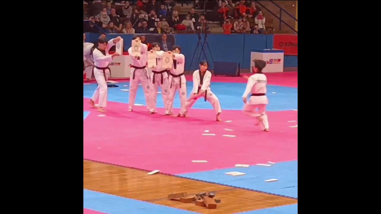 TAEKWONDO WEDSTRIJDEN ROSMALEN EN DEMO KOREAANS TEAM