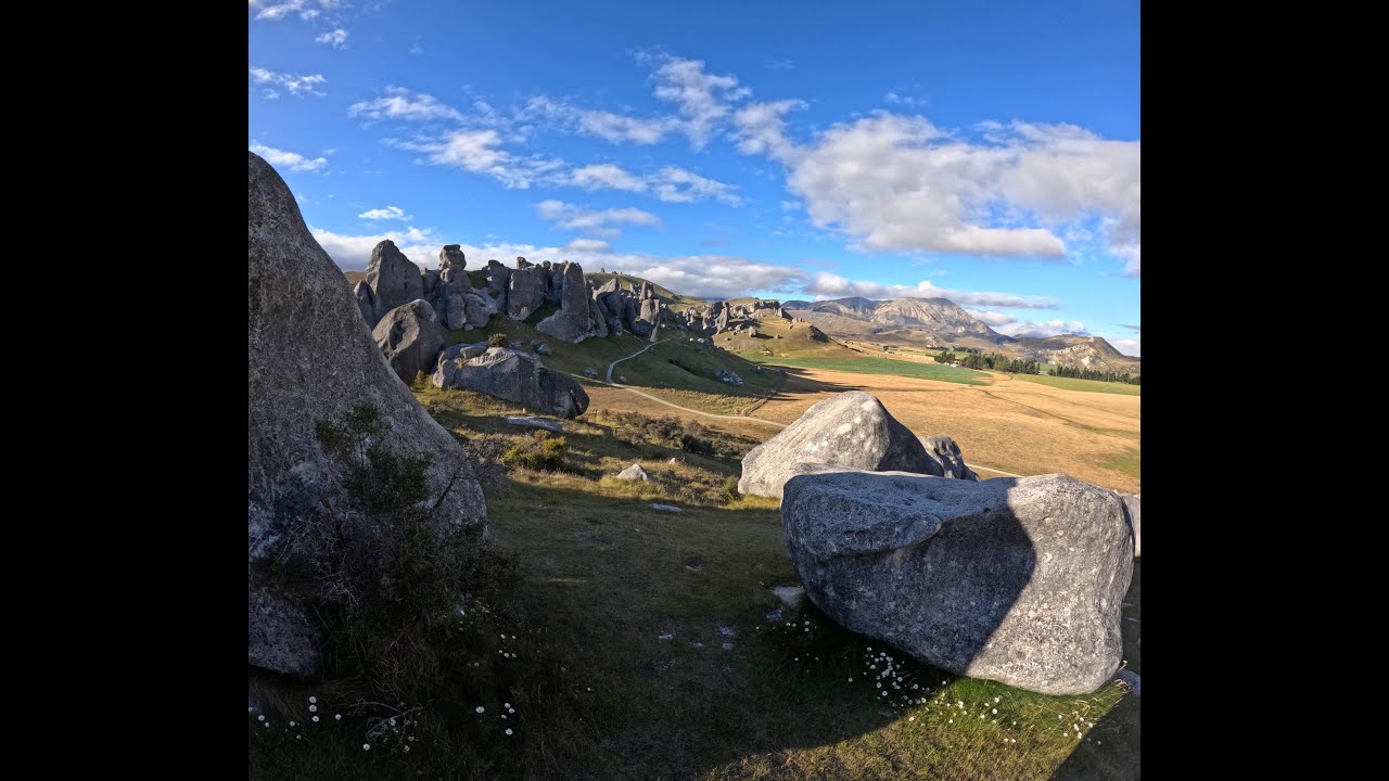 New Zealand Trip January 2025