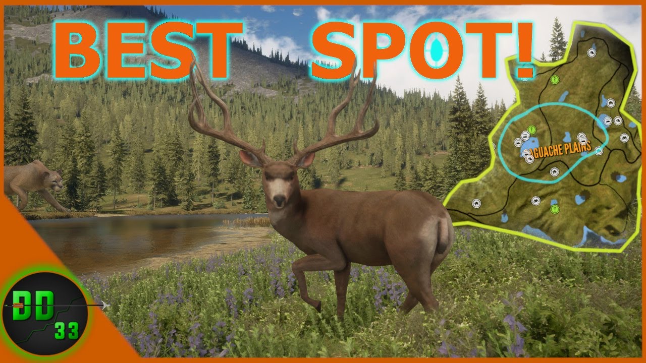 This is Why You're Not Finding Big Bucks! Call Of The Wild