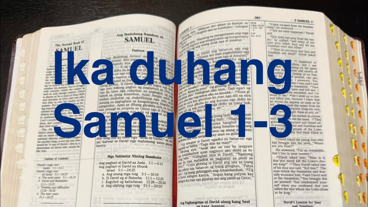 Ika duhang Samuel 1-3 (Gihimo si David nga Hari sa Juda)