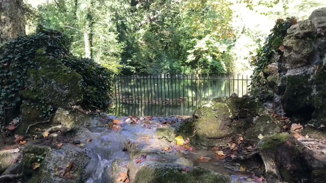 Parc des Etangs, Meylan, France 2021