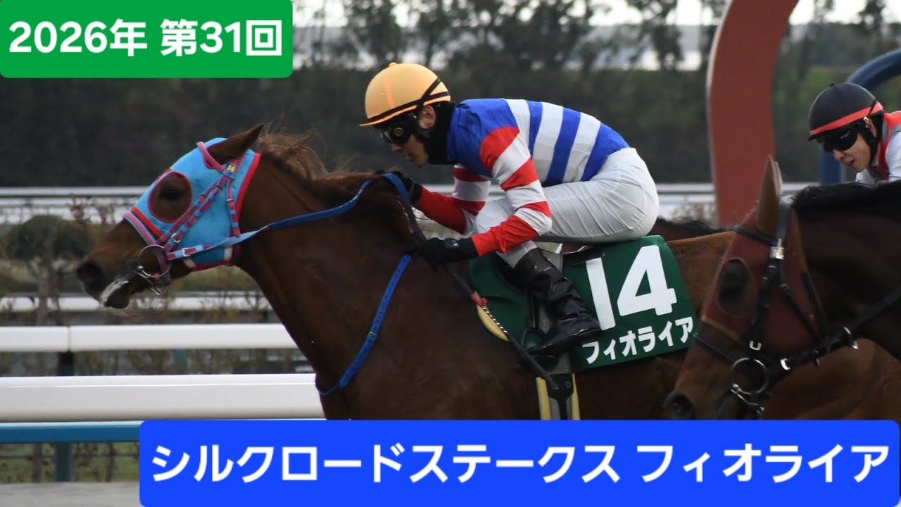 【現地映像】2026年第31回シルクロードステークス（GⅢ）優勝馬フィオライア号