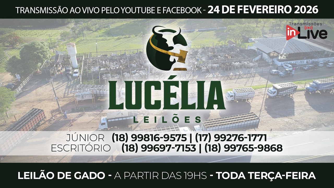LUCÉLIA LEILÕES - LEILÃO DE GADO AO VIVO - 18H - 24/02/2026 | 100 % Pesados no Recinto