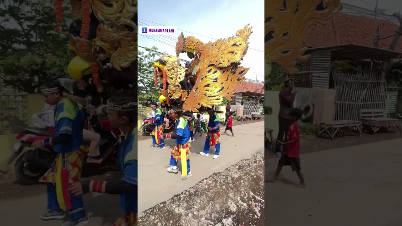 Boruk ayu beraksi 