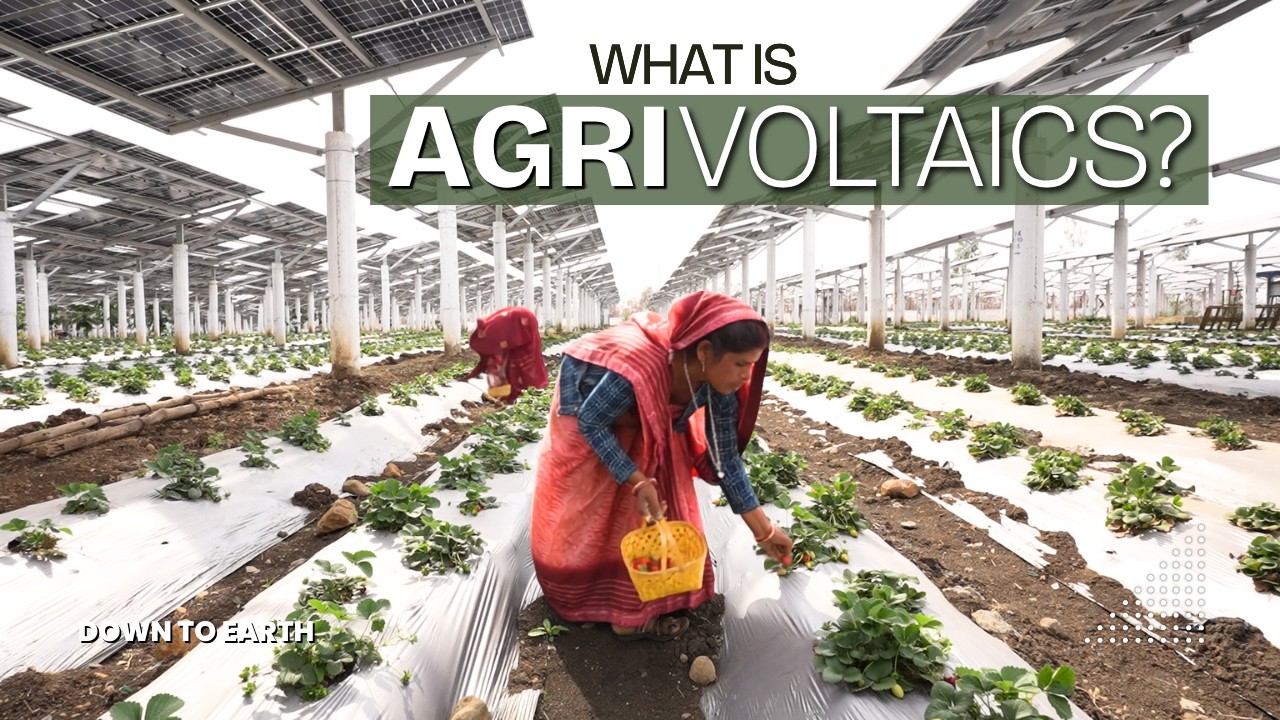 Food vs Energy: Can Agrivoltaics Solve India's Solar Conflict? | Renewable Energy | DTE Docs