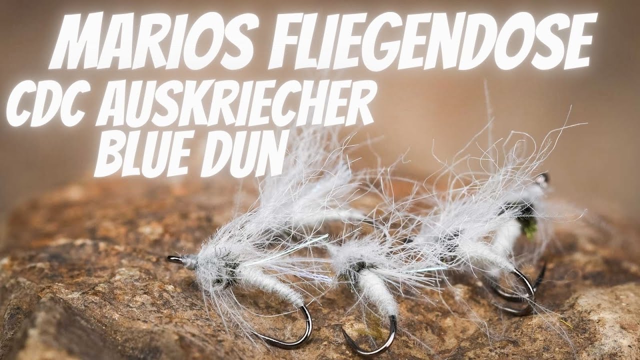 Marios Fliegendose - CDC Auskriecher Blue Dun - Äschenfliege