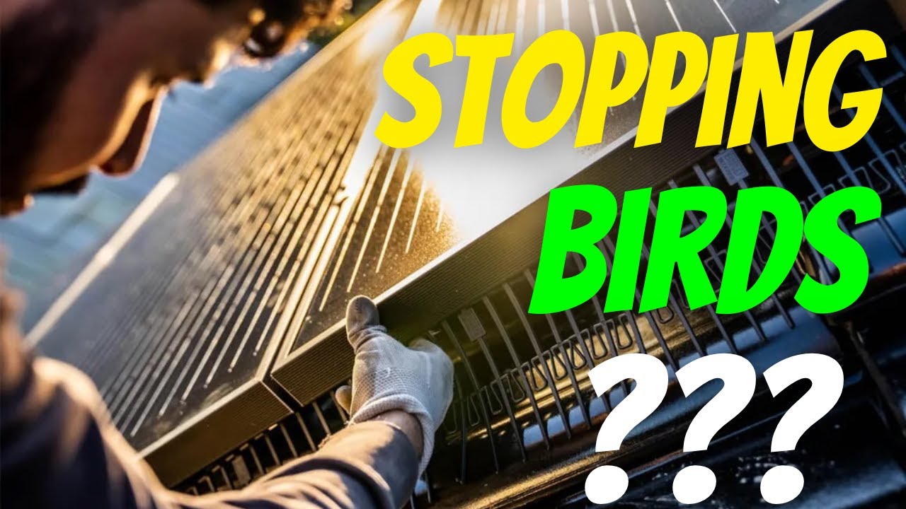 BirdBlocker Unveils Bird Proofing Solutions For Rooftop Solar PV