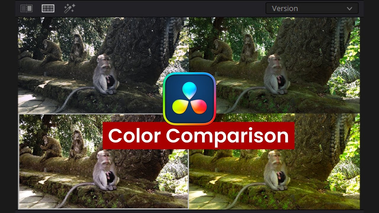 Davinci Resolve Color Comparison [Versions, Split Screen, Groups, Image Wipe]