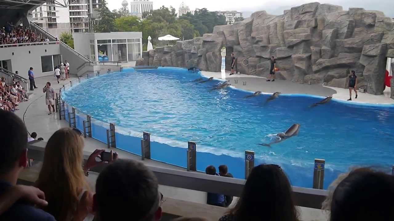 Batumi dolphinarium 2013