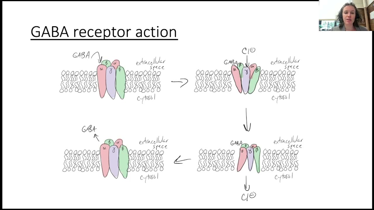 Pentothal Science 1