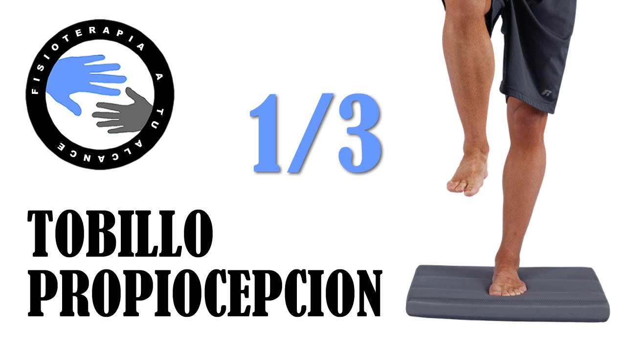 Ejercicios propiocepcion de tobillo