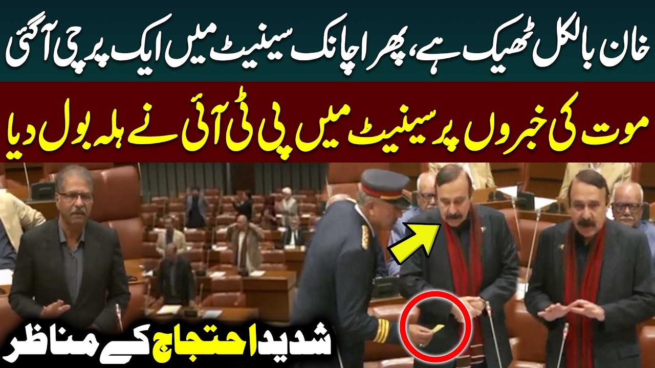 Dramatic Scene in Senate over Imran Khan News | PTI Protest | Senate Session | Public News