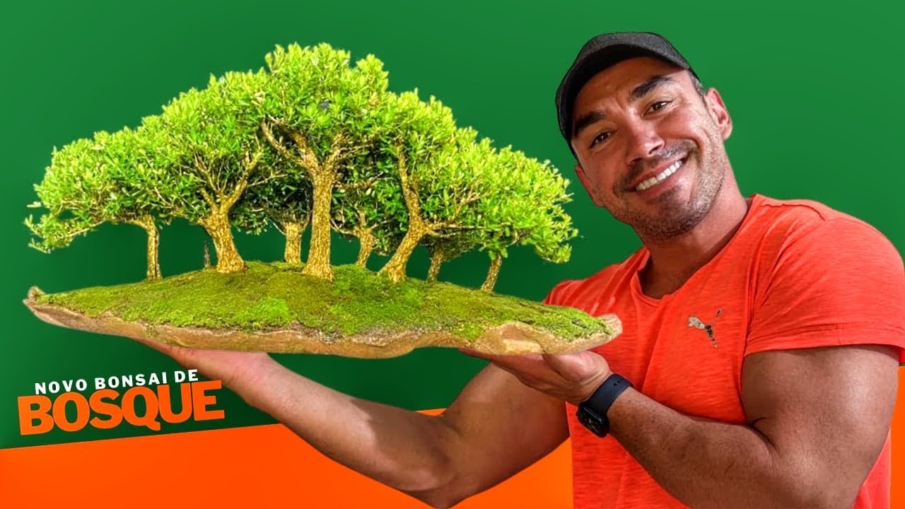 FAZENDO BONSAI DE BOSQUE PARA O AMIGO RUBENS DE VINHEDO