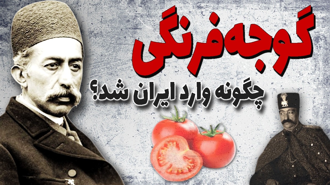 اولین بار گوجه فرنگی چگونه به ایران وارد شد؟ | تاریخچه ورود گوجه فرنگی به ایران