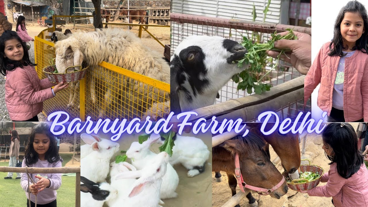 Посещение фермы Barnyard Farm Sainik Farms Delhi | Кормление животных | Опыт фермы | Ощущение бли...