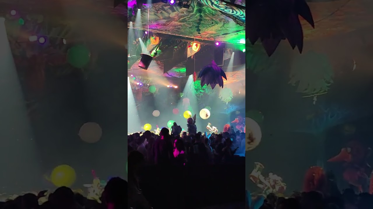 ELROW Enchanted Forest 2024 Sofia  #electronicmusic #festival #techno #party