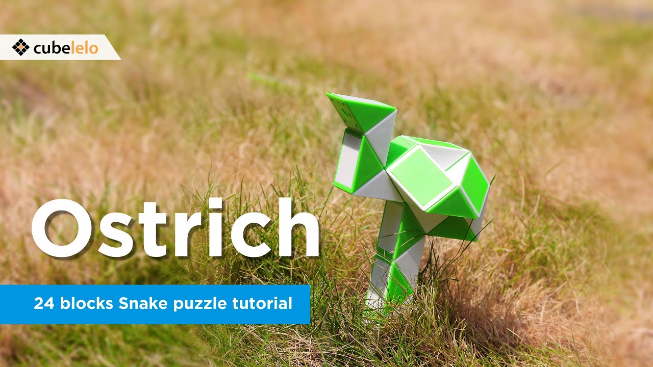 24 Blocks Snake Puzzle Tutorial I Ostrich I Cubelelo