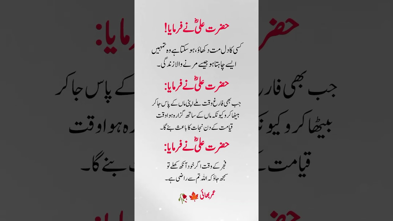 3 Golden Quotes of Hazrat Ali (R.A) | Life-Changing Islamic Wisdom | Hazrat Ali Quotes in #shorts
