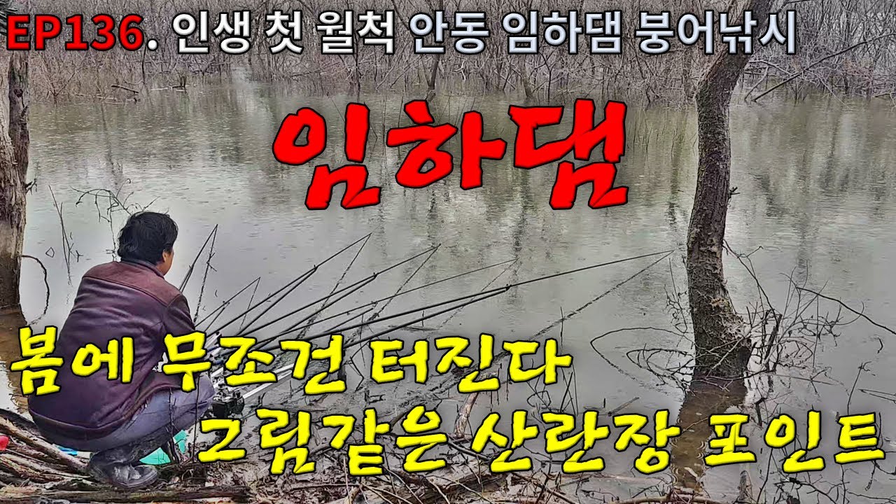 EP136. 인생 첫 월척 | 봄에 무조건 대박 터진다 | 그림같은 산란장 포인트 | 포인트답사 | 안동 | 임하댐 | 붕어낚시 | Crucian Carp Fishing