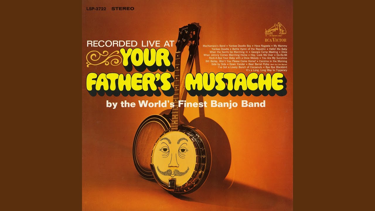 Medley: When Johnny Comes Marching Home / It's a Long, Long Way to Tipperary (Live)