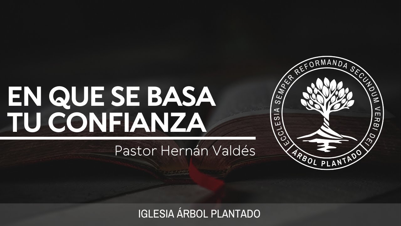 En que se Basa tu Confianza