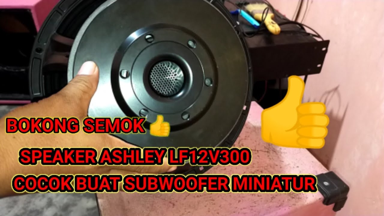 SPEAKER SUBWOOFER ASHLEY LF12V300