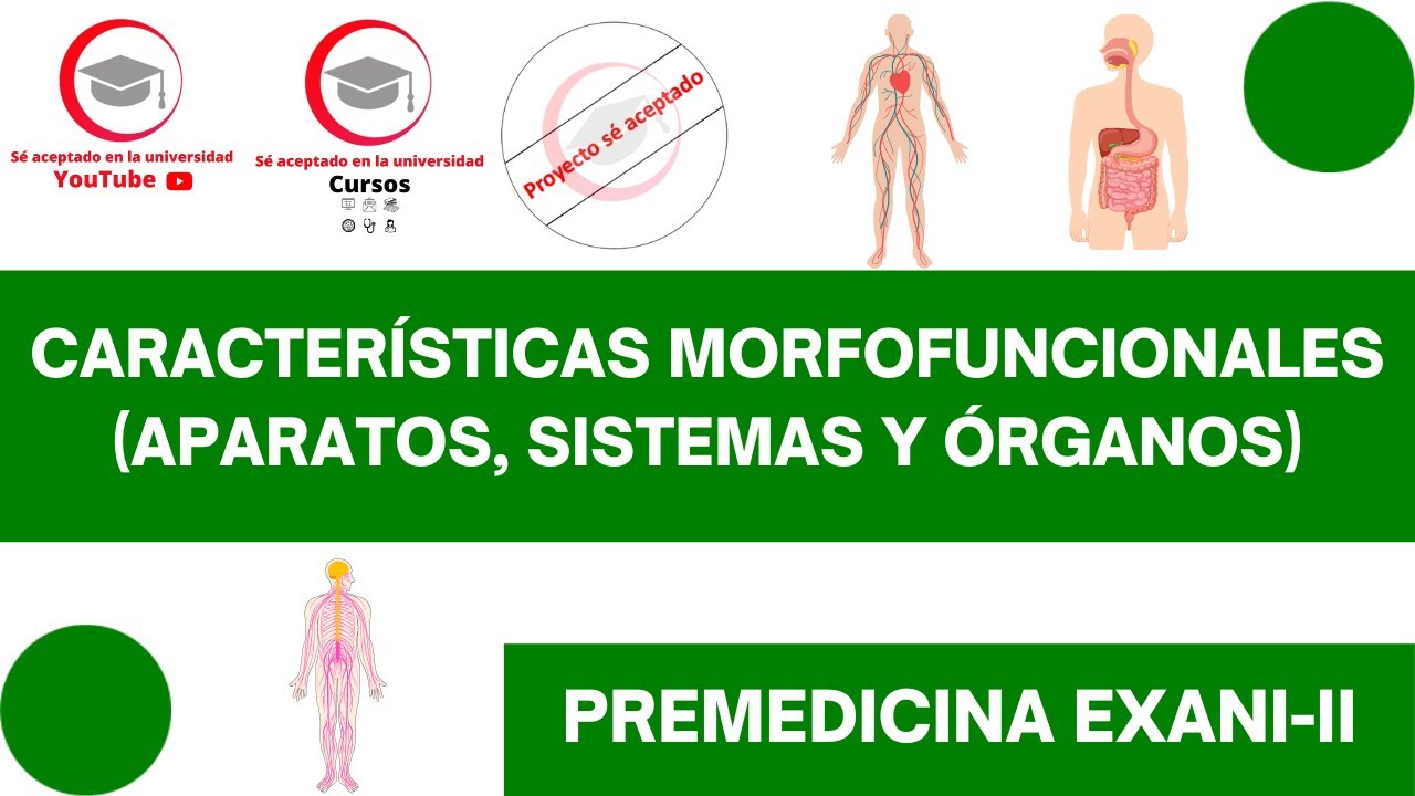 CARACTERÍSTICAS MORFOFUNCIONALES DE SISTEMAS, APARATOS Y ÓRGANOS | CLASE 22 DEL CURSO DE PREMEDICINA