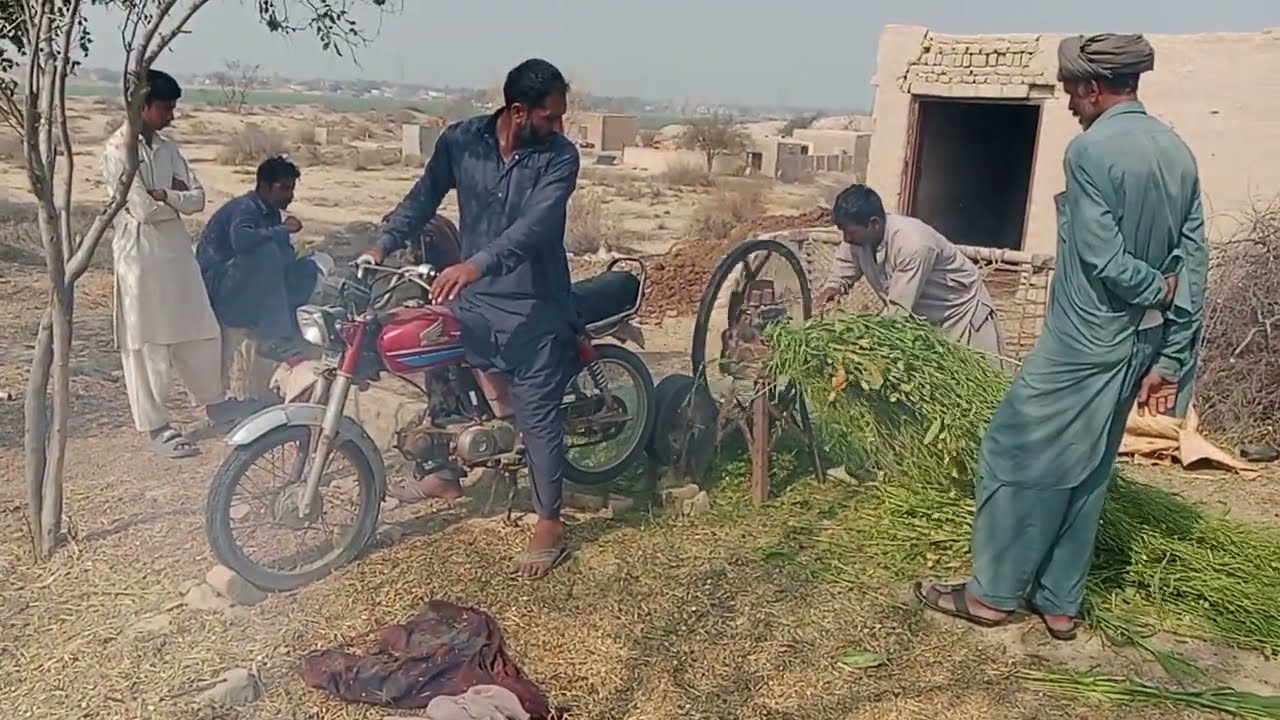 Insan buri Bala/insan Kisi chij ko Nahin chhodat/motorcycle ke sath bhi chara kutra ja sakta hai