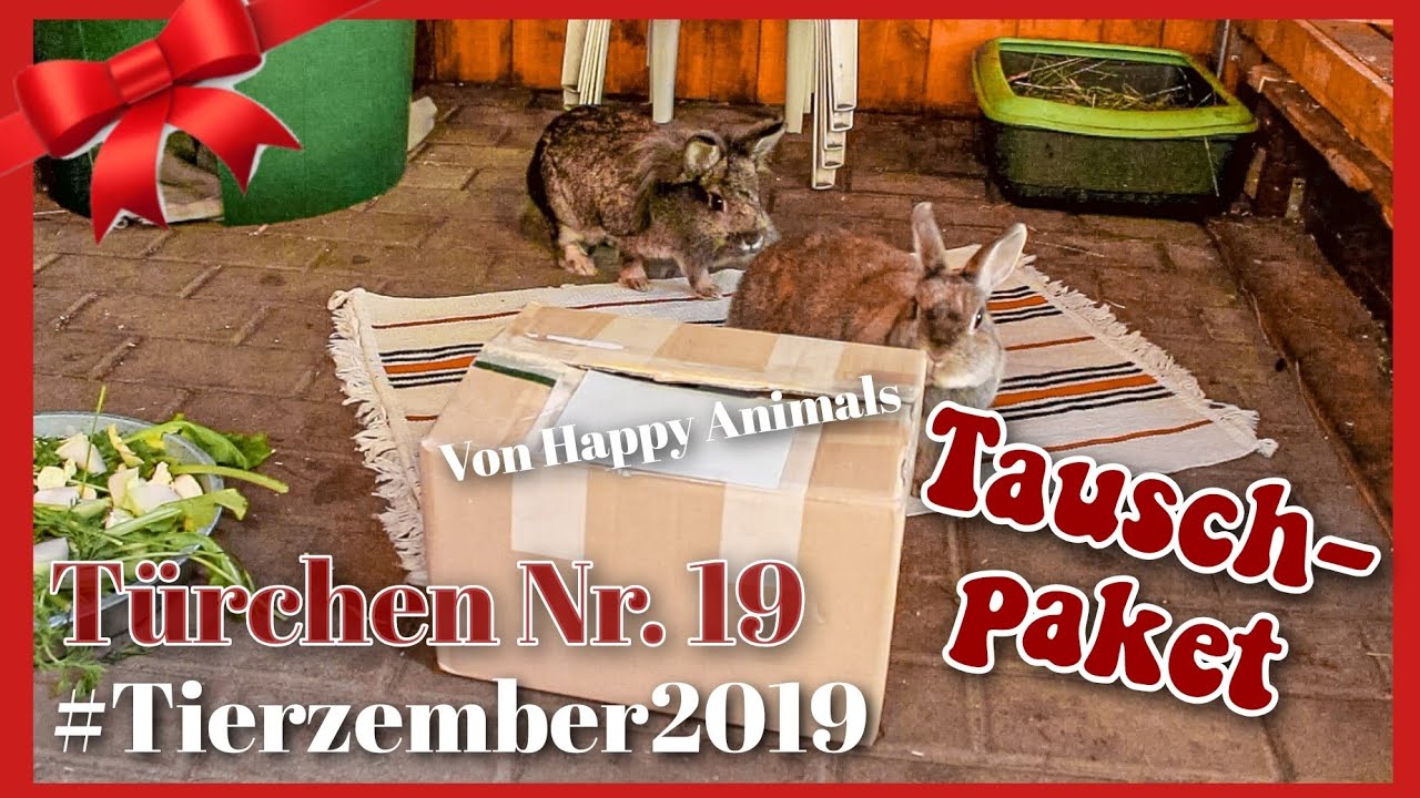 Weihnachtliches TAUSCHPAKET mit Happy Animals 🎁🎄🐰/ #Tierzember2019 Türchen 19 //Meine Mümmler