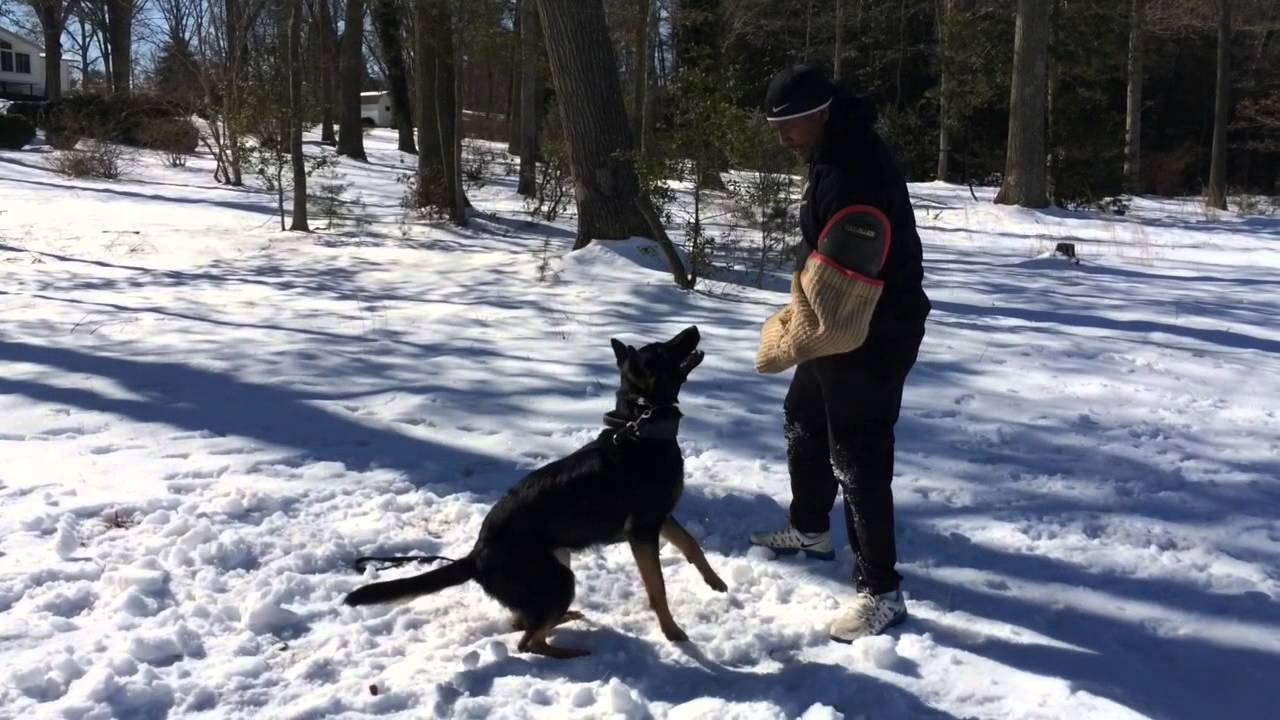 IPO in the snow :)