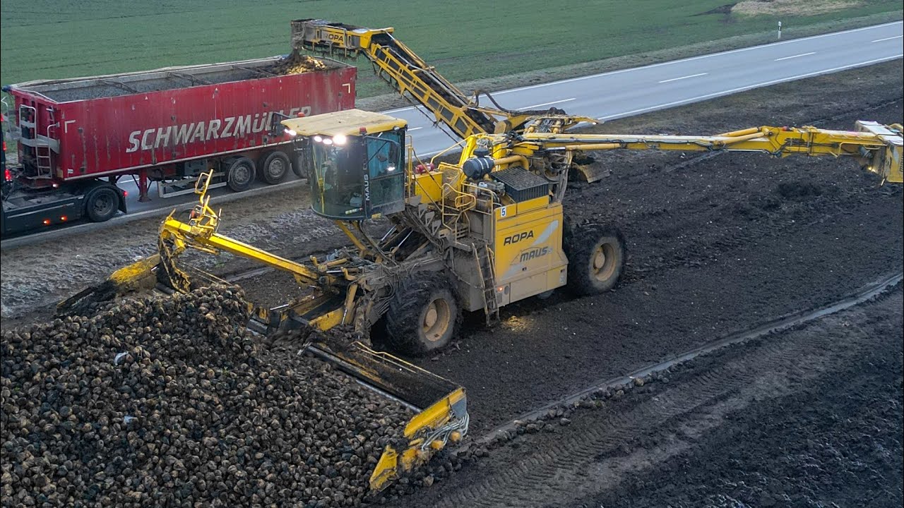 Ropa Maus 5 | odvážanie cukrovej repy