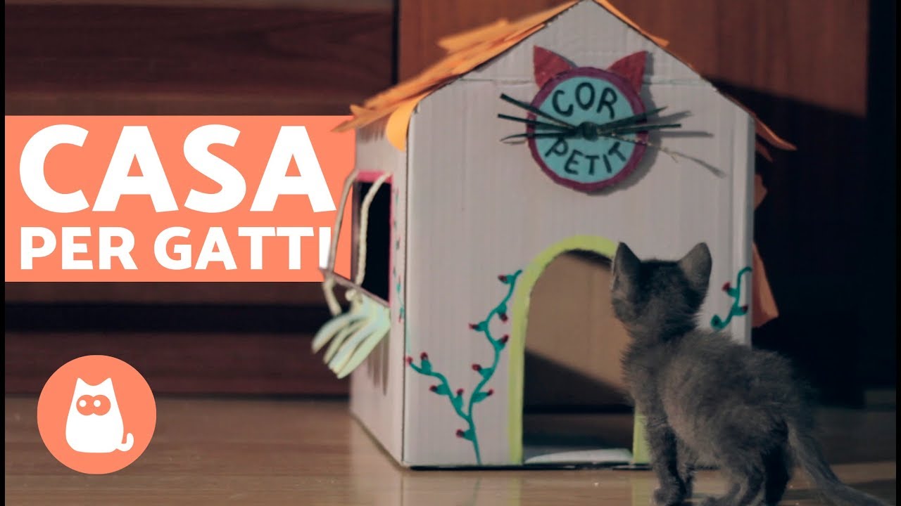 Casa per gatti in CARTONE fai da te 🏠🐱 Come costruire una casa per gatti!
