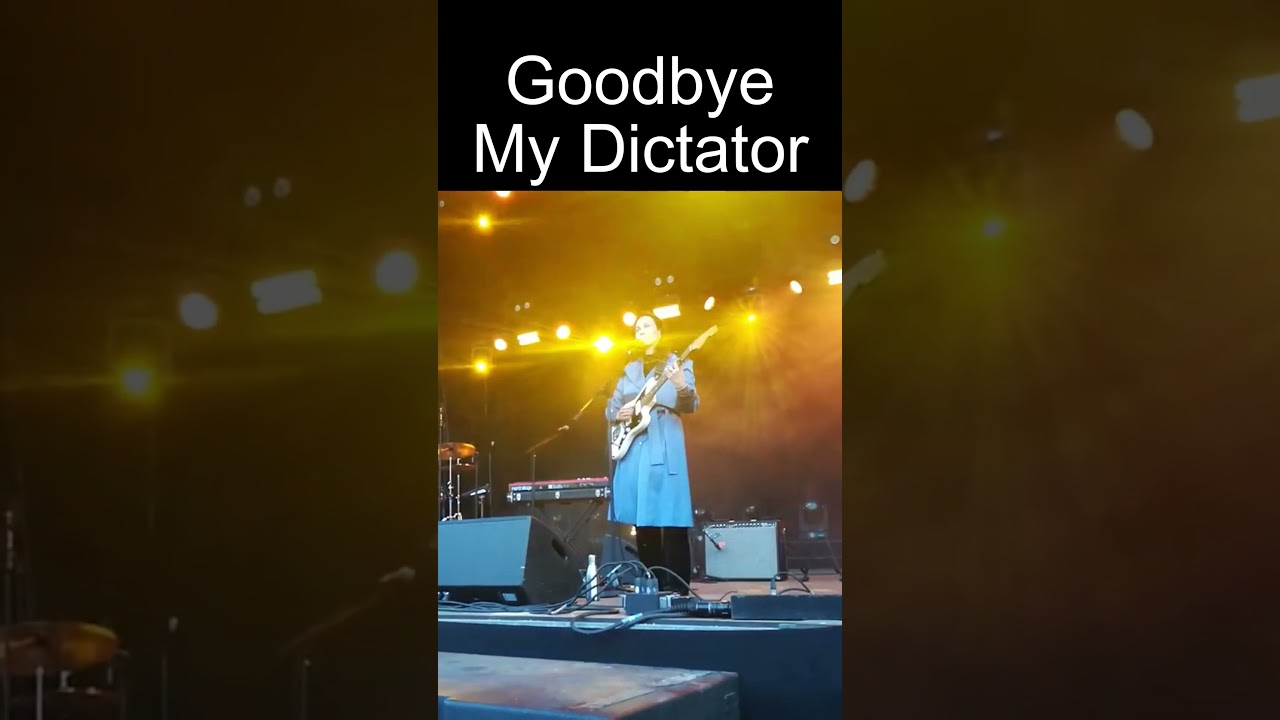 Goodbye My Dictator by Michellle Gurevich #michellegurevich #dictators #dictator #downwithdictators