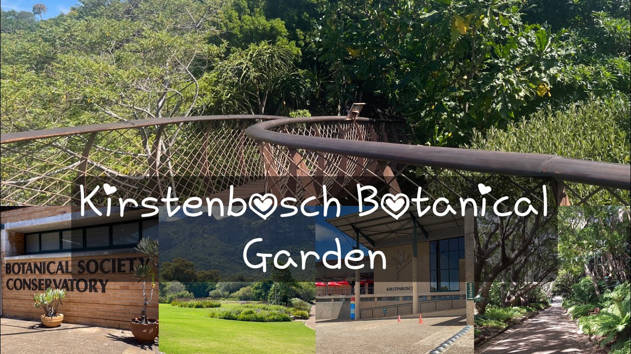 Kirstenbosch Botanical Garden | Cape Town | South Africa | Tourism day