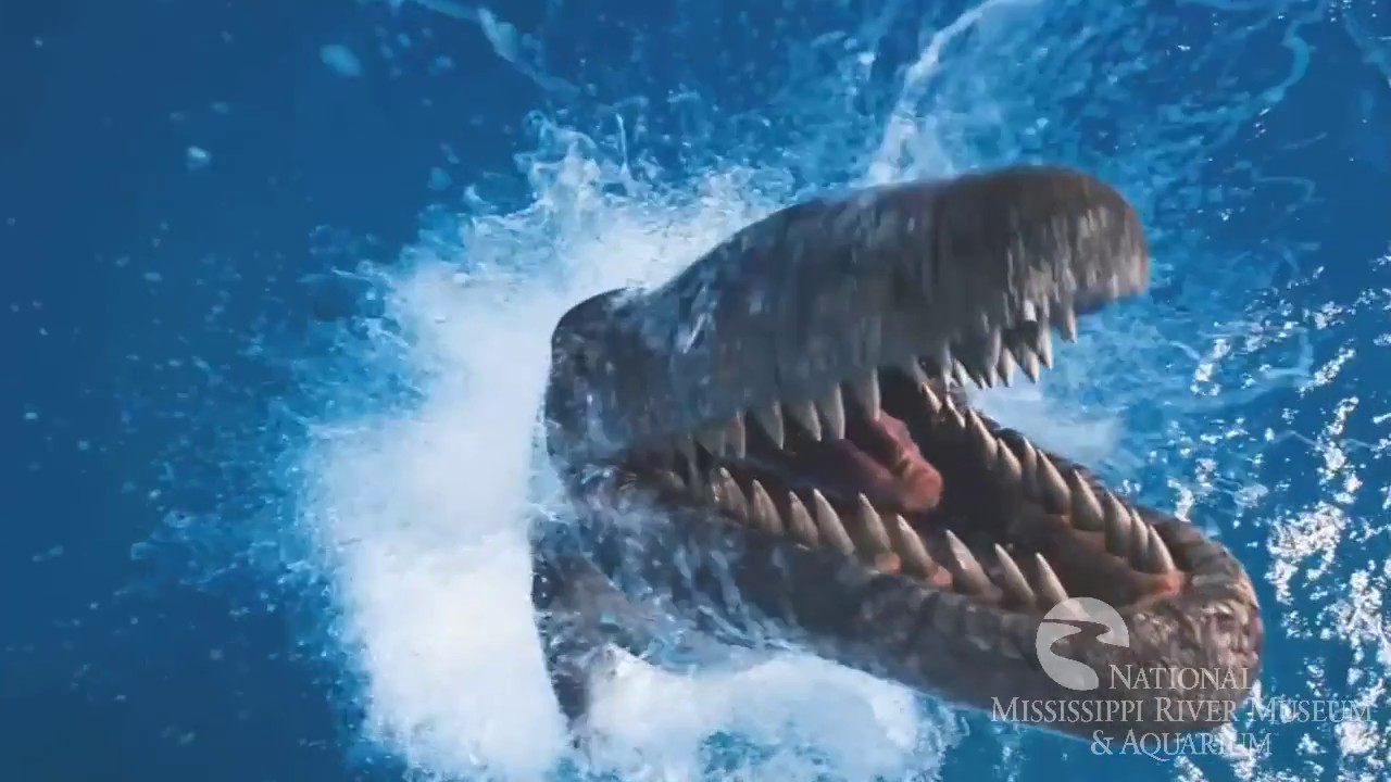 Sea Monsters Trailer