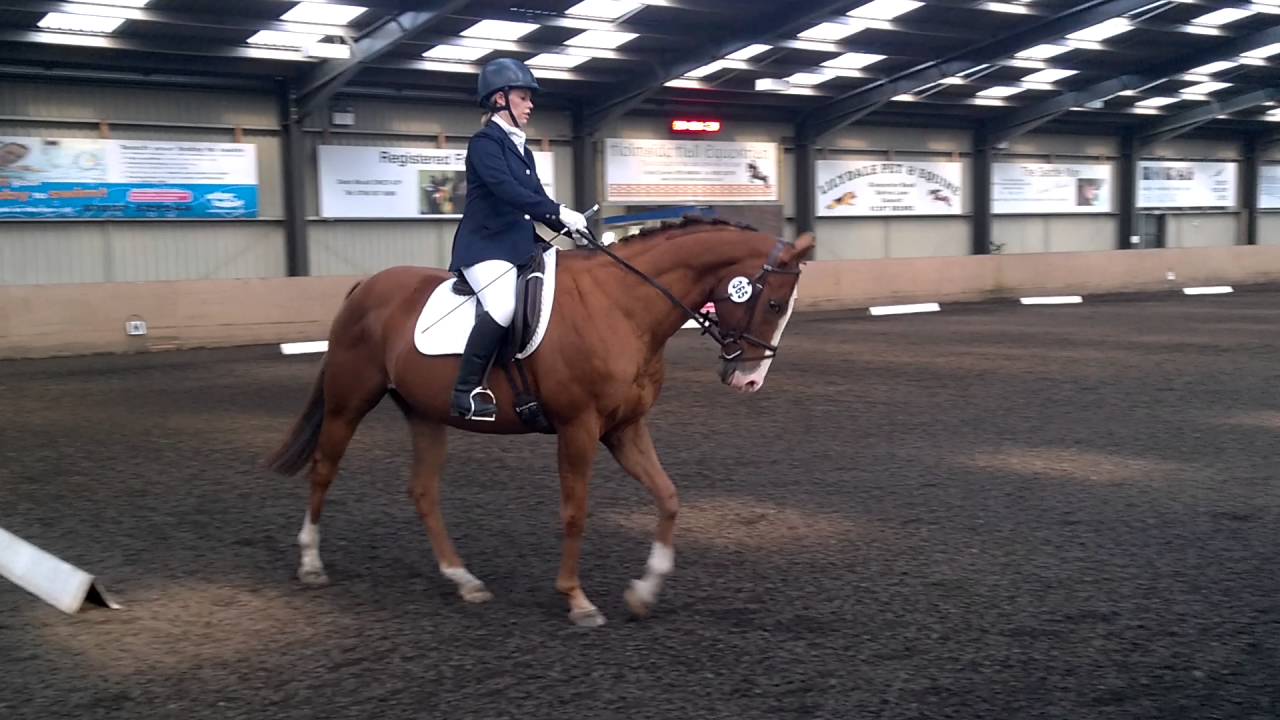 Oscar IX - 2015 British Dressage - P13WRQ - Holmside Hall