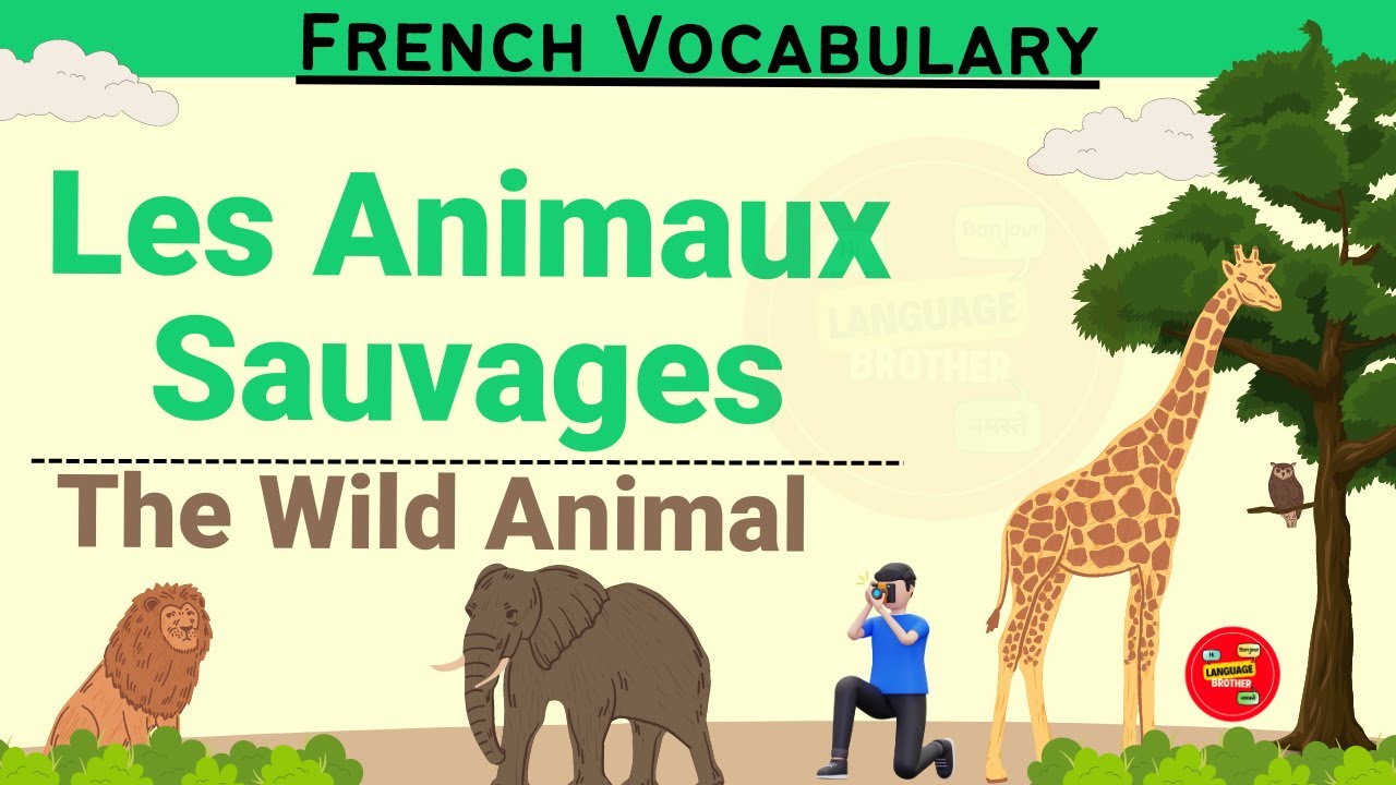 🦁🐘 Get Fluent in French Animal Vocabulary 🐾🇫🇷 , Learn French in Hindi, Language Brother 🌟🦁🐘